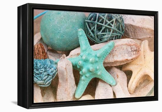 Bundle of Shells I-Susan Bryant-Framed Premier Image Canvas