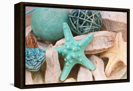 Bundle of Shells I-Susan Bryant-Framed Premier Image Canvas