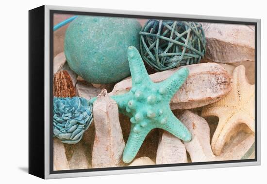 Bundle of Shells I-Susan Bryant-Framed Premier Image Canvas