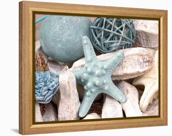 Bundle of Shells I-Susan Bryant-Framed Premier Image Canvas