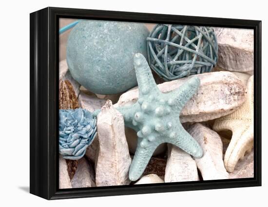 Bundle of Shells I-Susan Bryant-Framed Premier Image Canvas