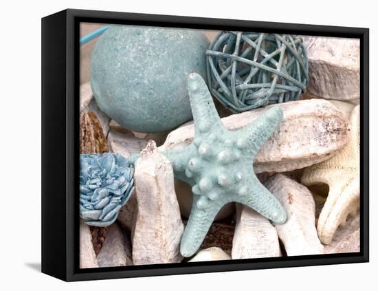 Bundle of Shells I-Susan Bryant-Framed Premier Image Canvas