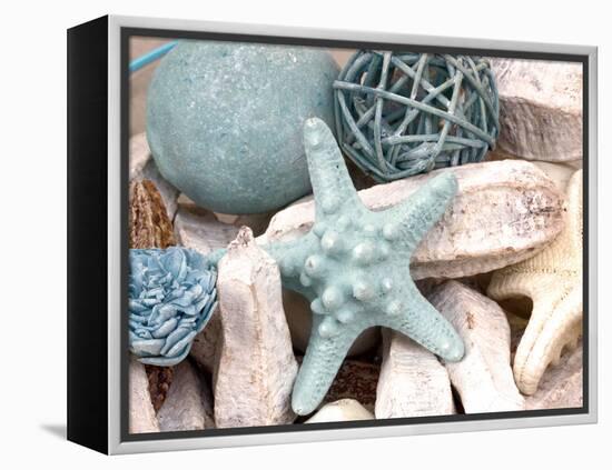 Bundle of Shells I-Susan Bryant-Framed Premier Image Canvas