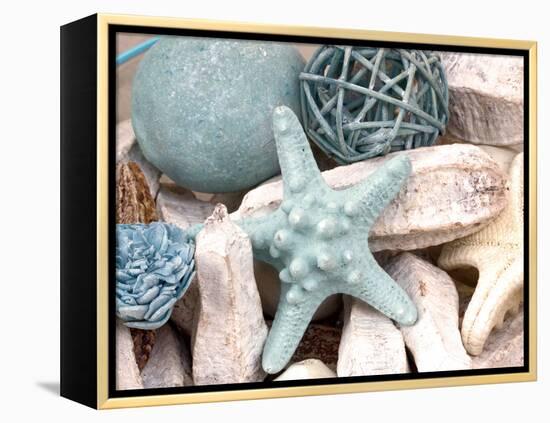 Bundle of Shells I-Susan Bryant-Framed Premier Image Canvas