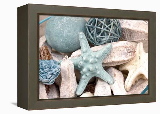 Bundle of Shells I-Susan Bryant-Framed Premier Image Canvas