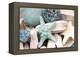 Bundle of Shells I-Susan Bryant-Framed Premier Image Canvas