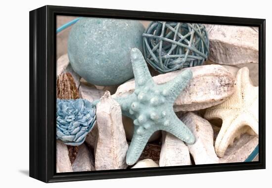 Bundle of Shells I-Susan Bryant-Framed Premier Image Canvas