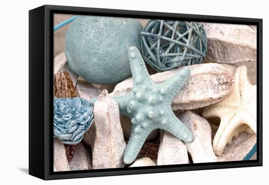 Bundle of Shells I-Susan Bryant-Framed Premier Image Canvas