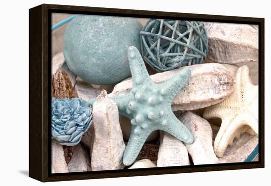 Bundle of Shells I-Susan Bryant-Framed Premier Image Canvas