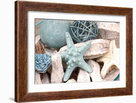 Bundle of Shells I-Susan Bryant-Framed Photographic Print