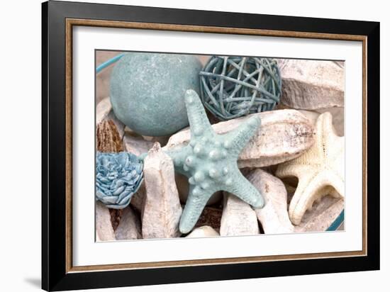 Bundle of Shells I-Susan Bryant-Framed Photographic Print