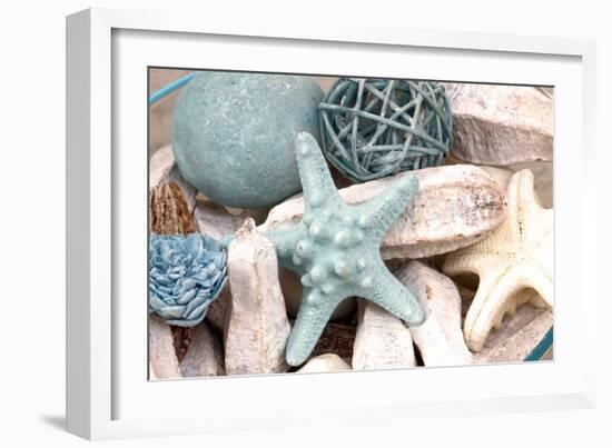 Bundle of Shells I-Susan Bryant-Framed Photographic Print