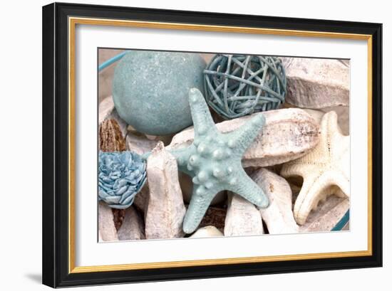 Bundle of Shells I-Susan Bryant-Framed Photographic Print