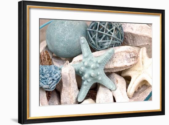 Bundle of Shells I-Susan Bryant-Framed Photographic Print