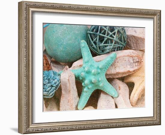 Bundle of Shells I-Susan Bryant-Framed Photographic Print