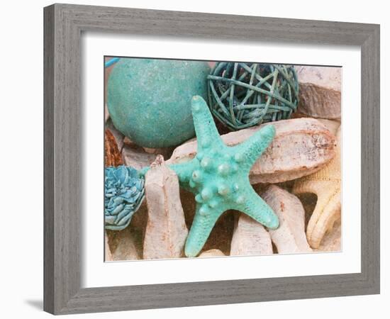 Bundle of Shells I-Susan Bryant-Framed Photographic Print