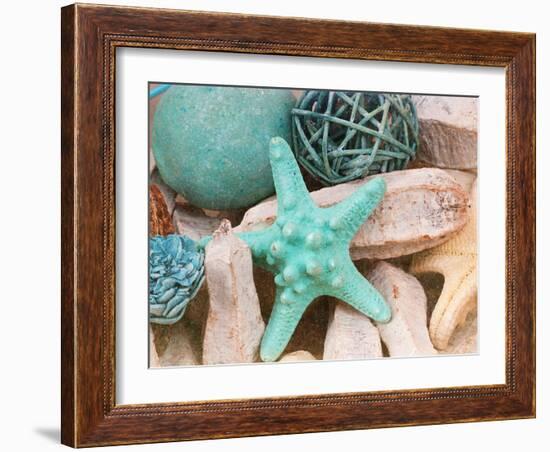 Bundle of Shells I-Susan Bryant-Framed Photographic Print