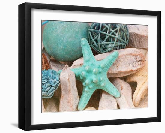 Bundle of Shells I-Susan Bryant-Framed Photographic Print