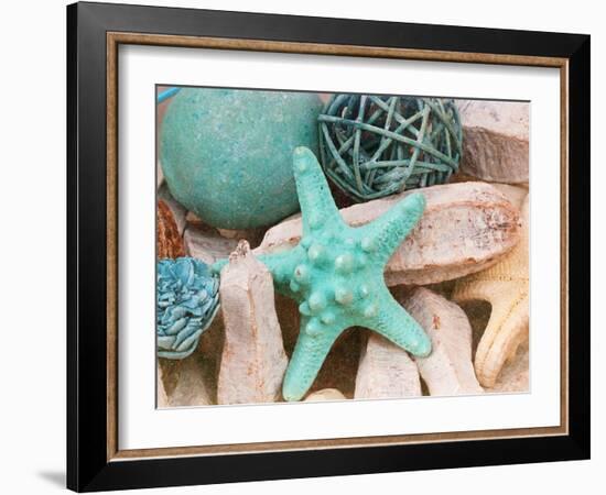 Bundle of Shells I-Susan Bryant-Framed Photographic Print