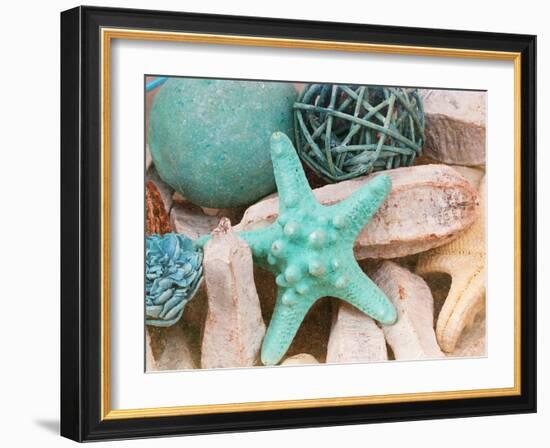 Bundle of Shells I-Susan Bryant-Framed Photographic Print