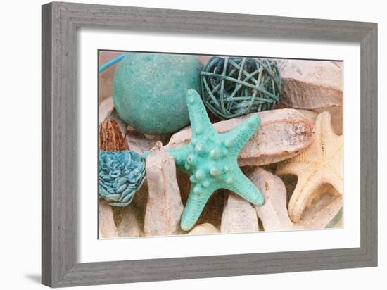 Bundle of Shells I-Susan Bryant-Framed Photographic Print