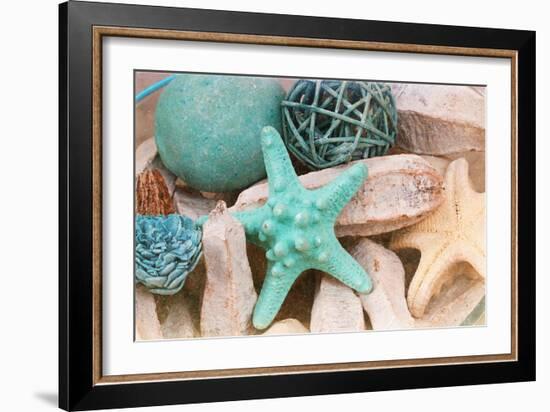 Bundle of Shells I-Susan Bryant-Framed Photographic Print