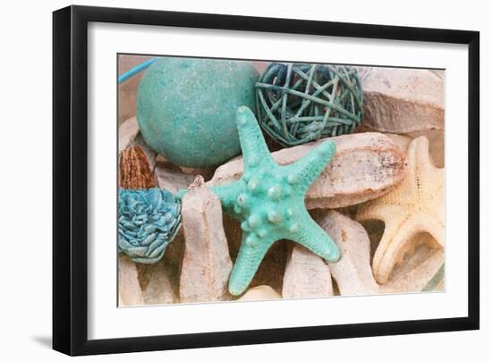 Bundle of Shells I-Susan Bryant-Framed Photographic Print