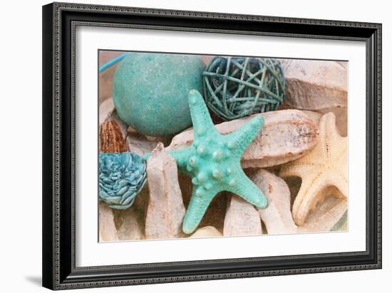 Bundle of Shells I-Susan Bryant-Framed Photographic Print