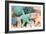 Bundle of Shells I-Susan Bryant-Framed Photographic Print