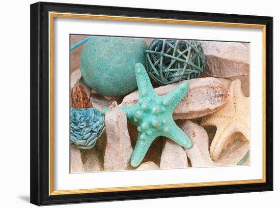 Bundle of Shells I-Susan Bryant-Framed Photographic Print