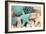 Bundle of Shells I-Susan Bryant-Framed Photographic Print