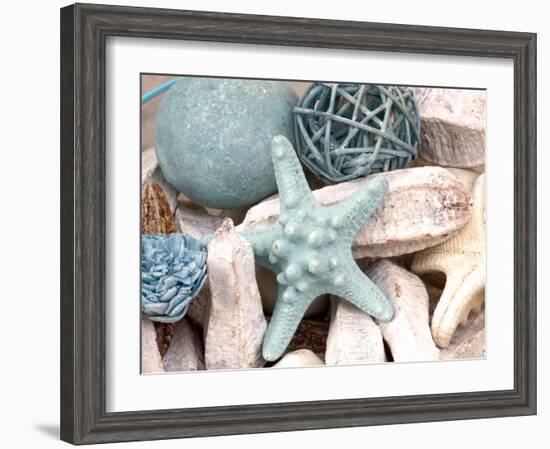 Bundle of Shells I-Susan Bryant-Framed Photographic Print