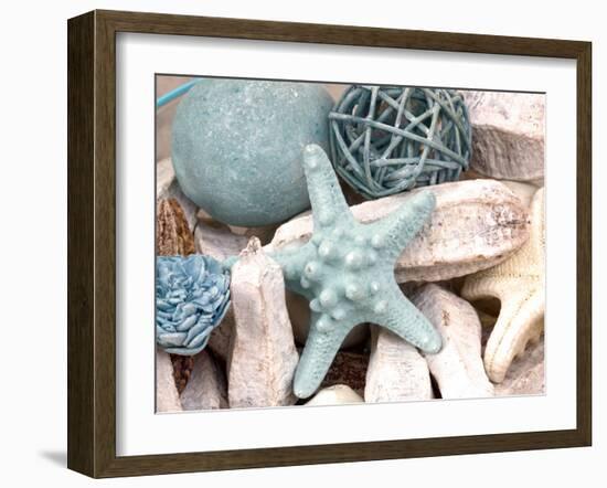 Bundle of Shells I-Susan Bryant-Framed Photographic Print