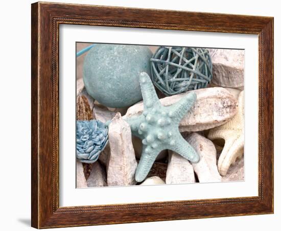 Bundle of Shells I-Susan Bryant-Framed Photographic Print