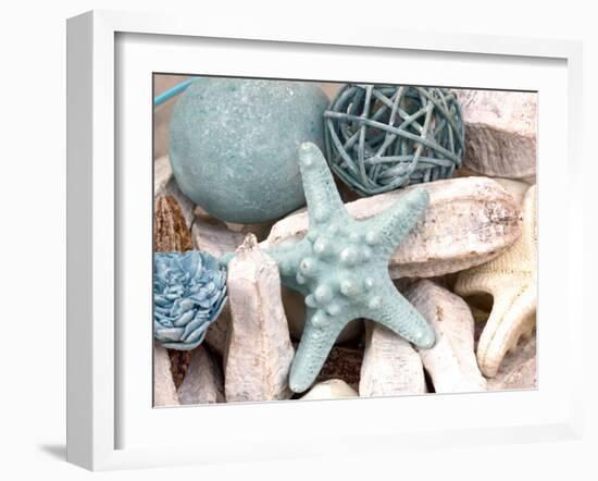 Bundle of Shells I-Susan Bryant-Framed Photographic Print