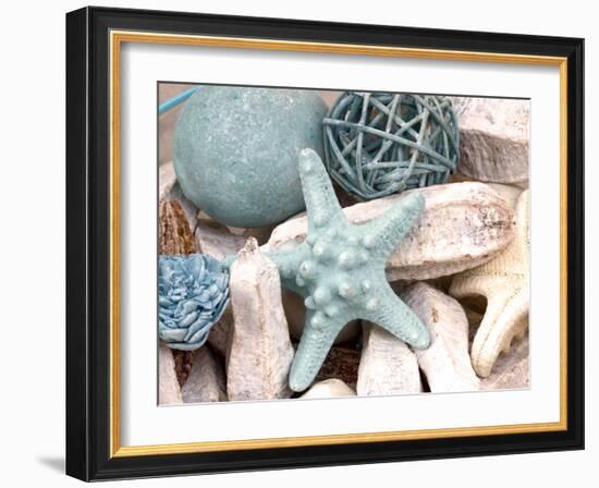 Bundle of Shells I-Susan Bryant-Framed Photographic Print