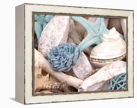 Bundle of Shells II-Susan Bryant-Framed Premier Image Canvas