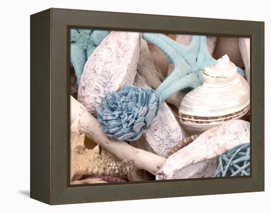 Bundle of Shells II-Susan Bryant-Framed Premier Image Canvas