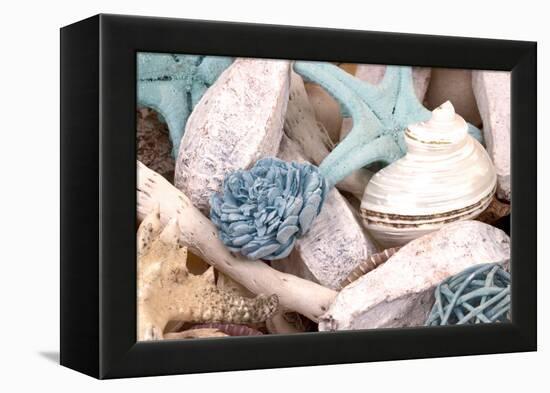 Bundle of Shells II-Susan Bryant-Framed Premier Image Canvas