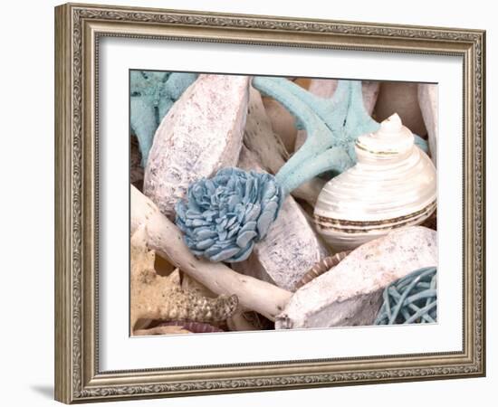 Bundle of Shells II-Susan Bryant-Framed Photographic Print