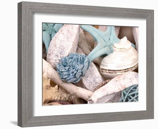 Bundle of Shells II-Susan Bryant-Framed Photographic Print