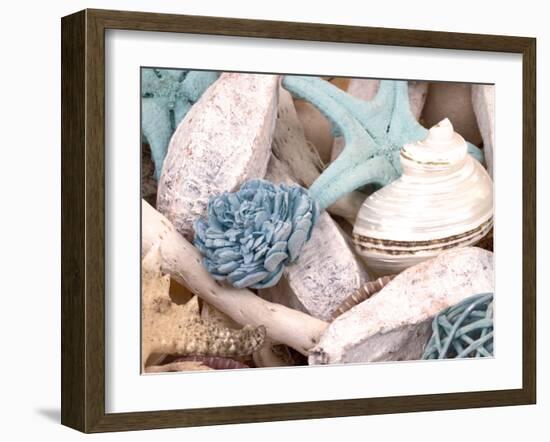 Bundle of Shells II-Susan Bryant-Framed Photographic Print