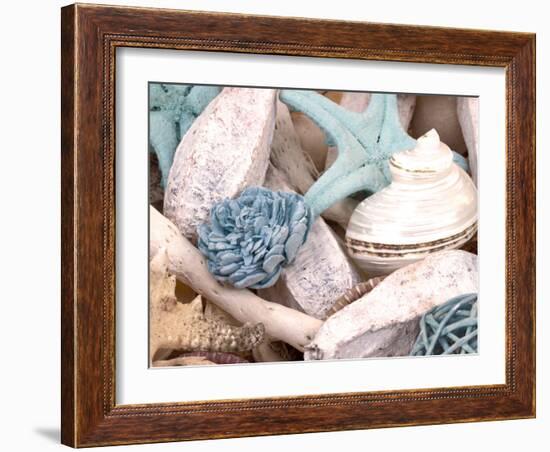 Bundle of Shells II-Susan Bryant-Framed Photographic Print