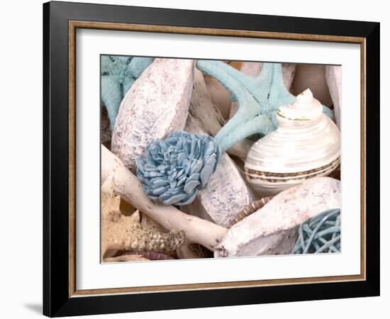 Bundle of Shells II-Susan Bryant-Framed Photographic Print