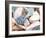 Bundle of Shells II-Susan Bryant-Framed Photographic Print