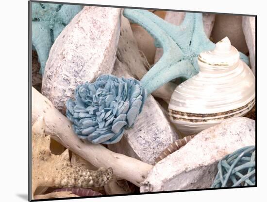 Bundle of Shells II-Susan Bryant-Mounted Photographic Print