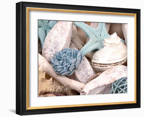 Bundle of Shells II-Susan Bryant-Framed Photographic Print