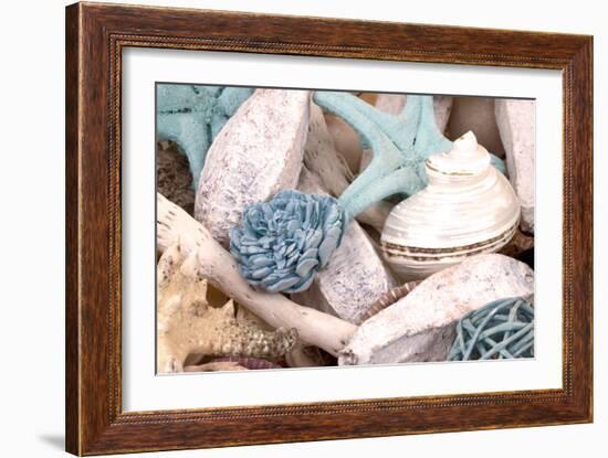 Bundle of Shells II-Susan Bryant-Framed Photographic Print