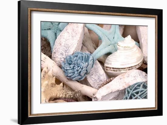 Bundle of Shells II-Susan Bryant-Framed Photographic Print