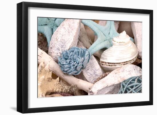 Bundle of Shells II-Susan Bryant-Framed Photographic Print